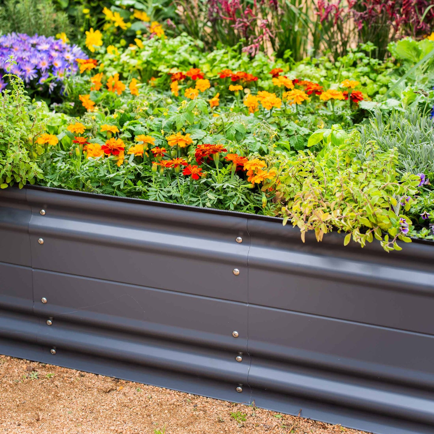 17" Tall Large Novel Metal Raised Garden Bed Kit | Modular 9 in 1