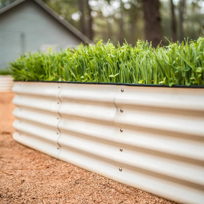Vego Garden 17 Tall Raised Bed white corrugated metal with screws on Tampa Home & Garden Store
