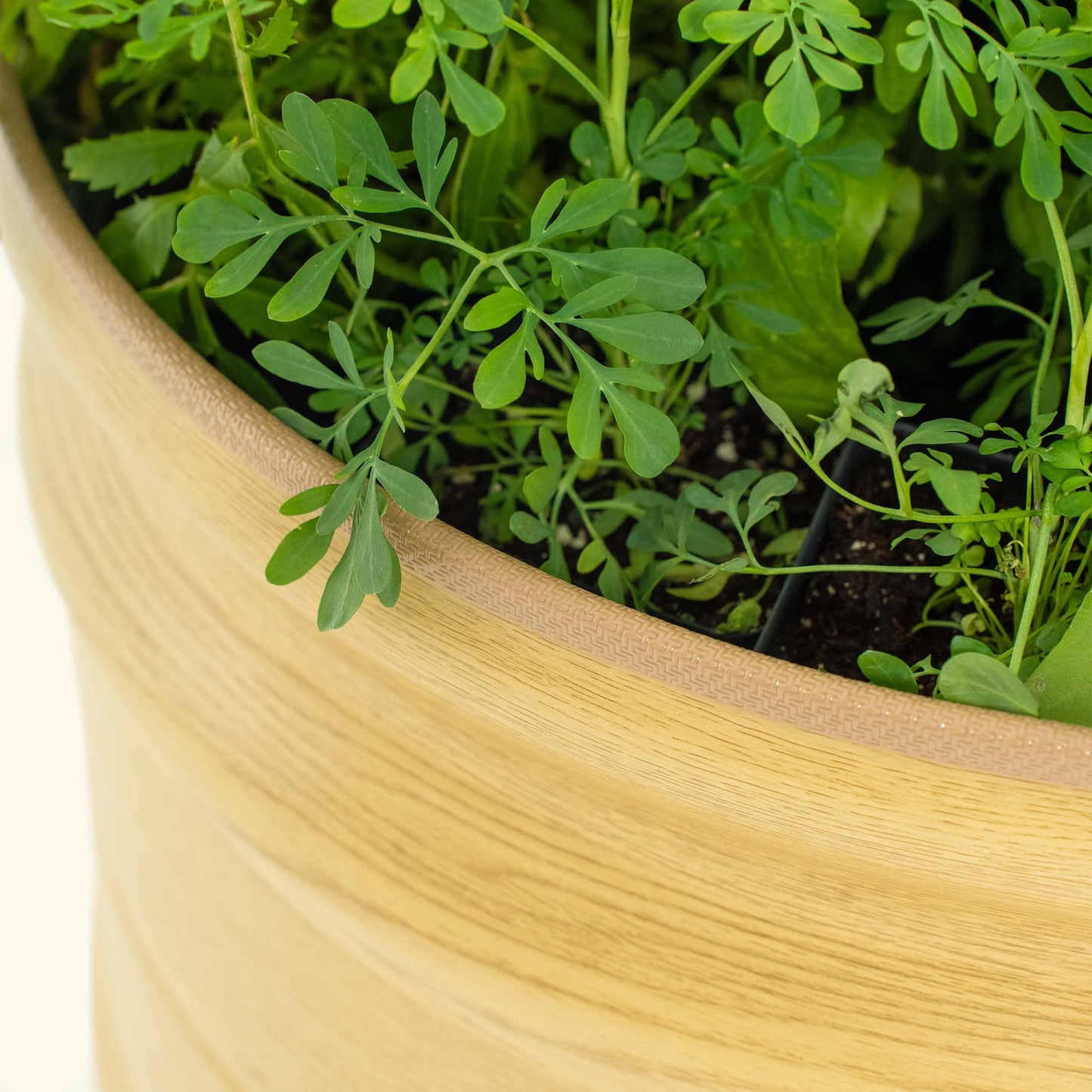 17" Tall Novel Raised Garden Bed Jumbo 10 in 1 Modular Metal