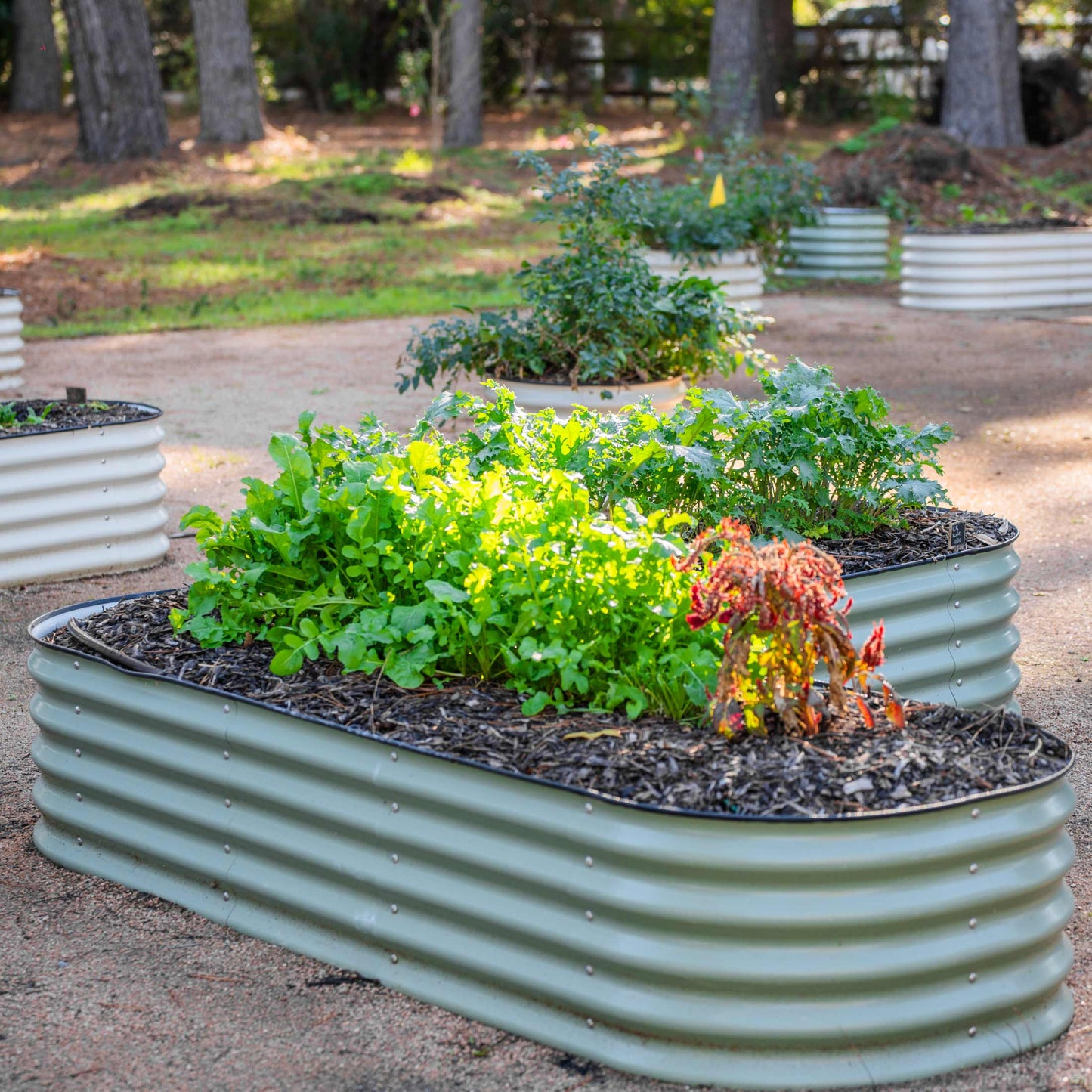 17" Tall L Shaped Raised Garden Bed Large Size