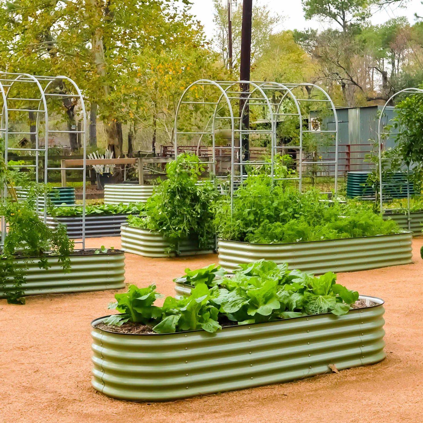 17" Tall L Shaped Raised Garden Bed Large Size