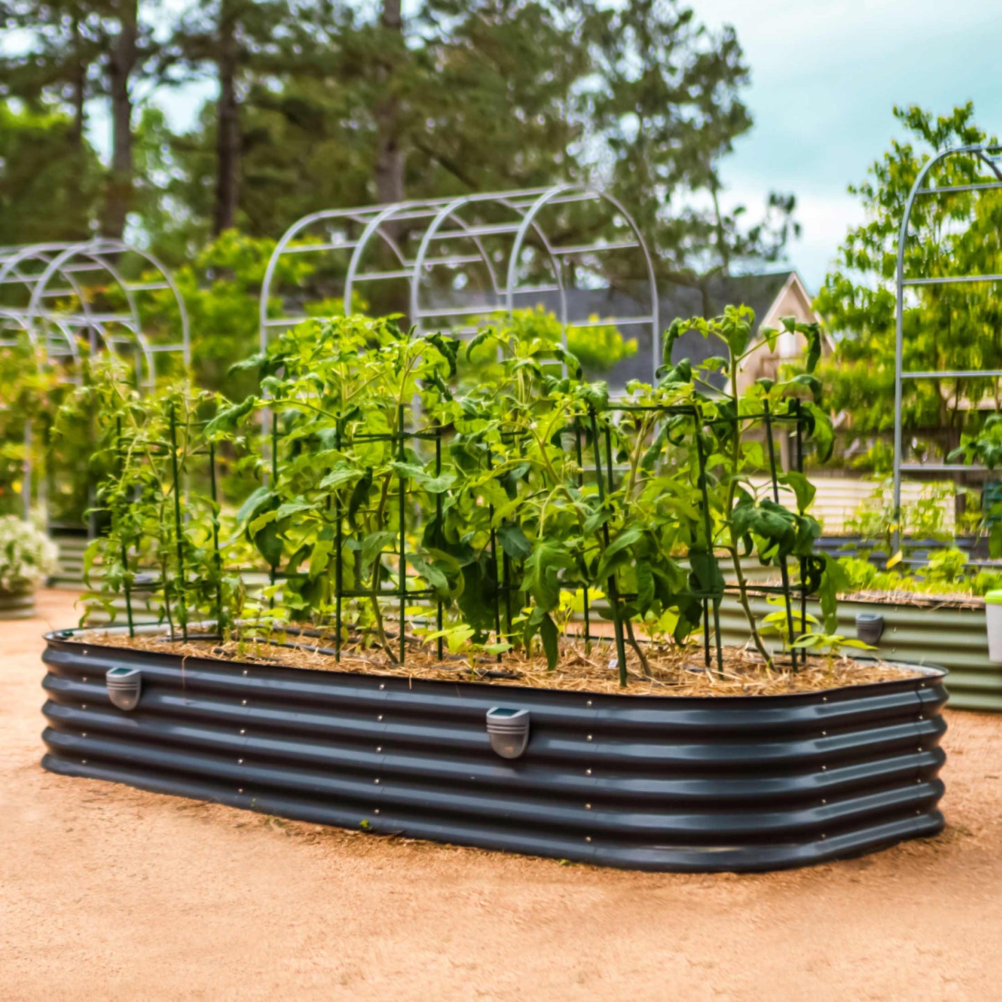 17" Tall Metal Raised Garden Bed Jumbo 10 in 1 Modular