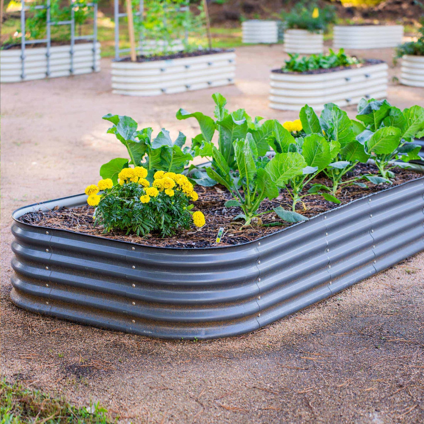 17" Tall Metal Raised Garden Bed Kit Jumbo 10 in 1 Modular