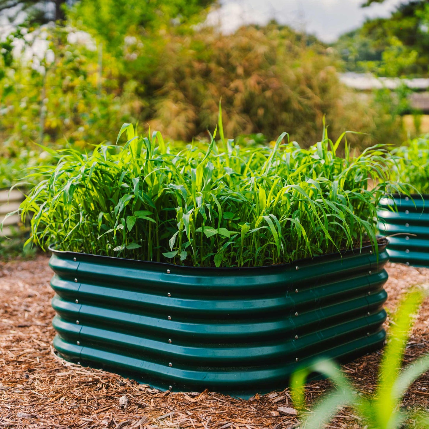 17" Tall Small Raised Garden Bed 4 in 1 Modular Metal