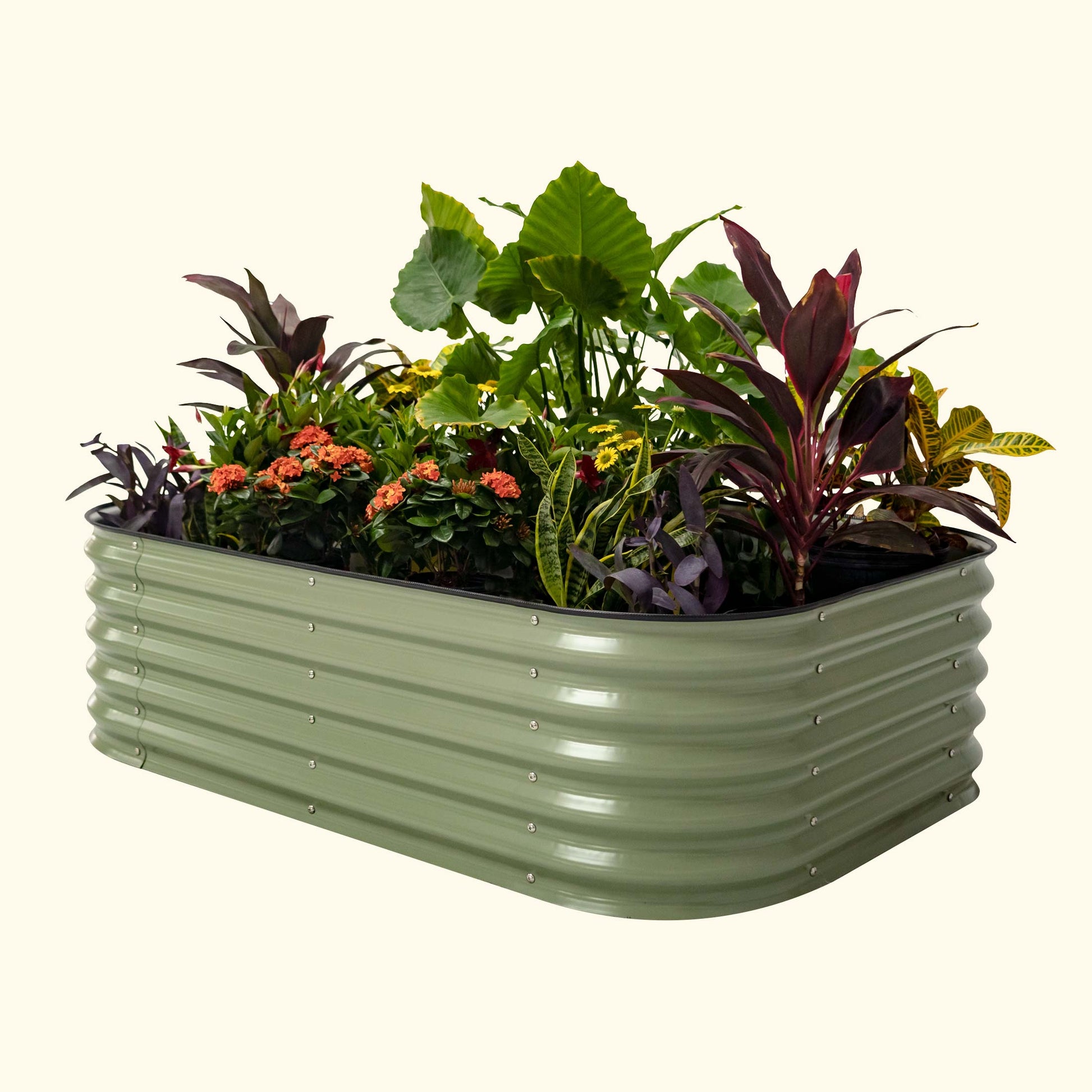 3.5x6.5 raised garden bed installation 2 pack - Tampa soil911.com