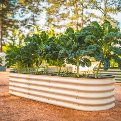 Jardinière surélevée de 43 cm de haut, taille moyenne, modulaire 6 en 1, en métal