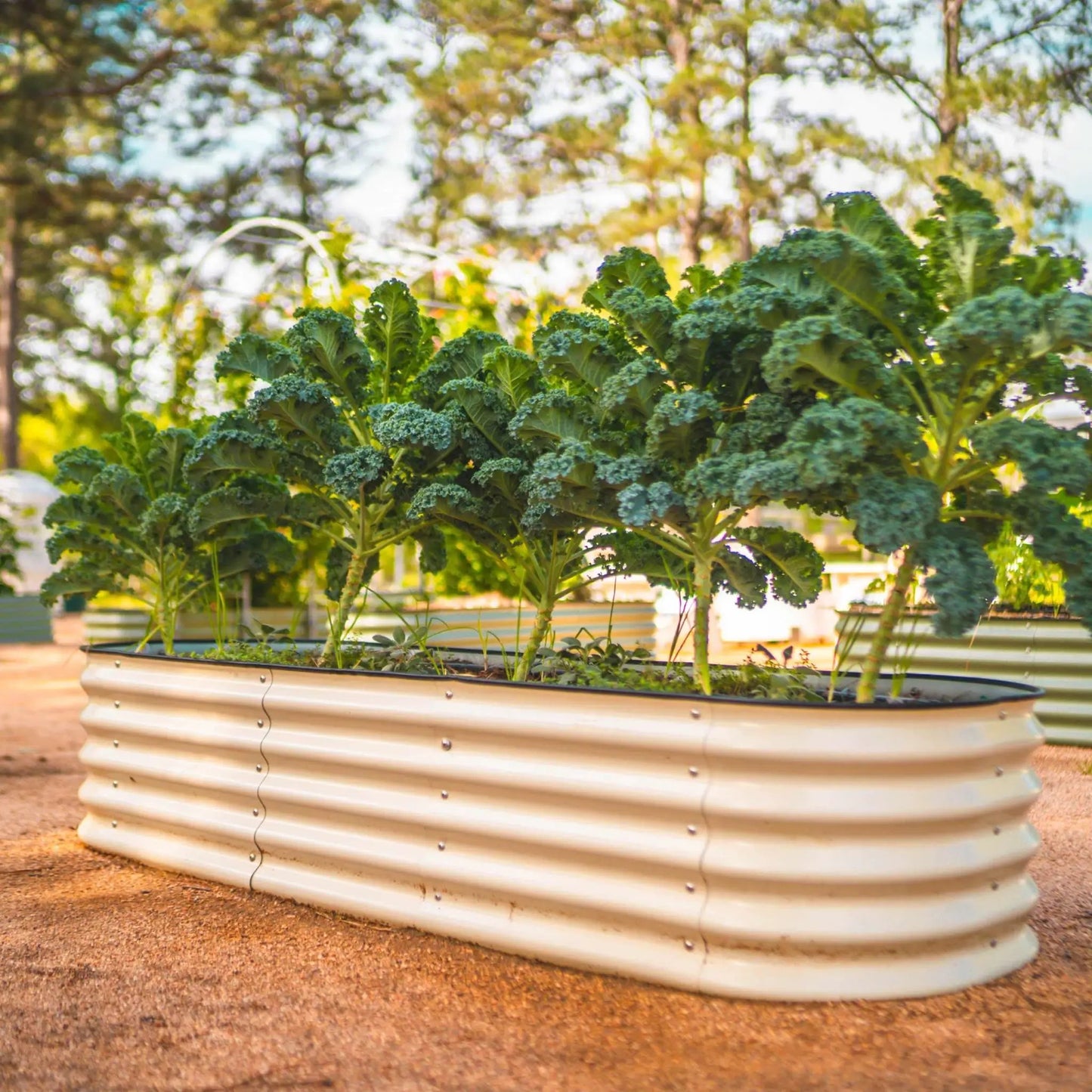 17 inch tall raised garden bed, 6-in-1 modular metal planter by Vego Garden on Tampa Home & Garden Store