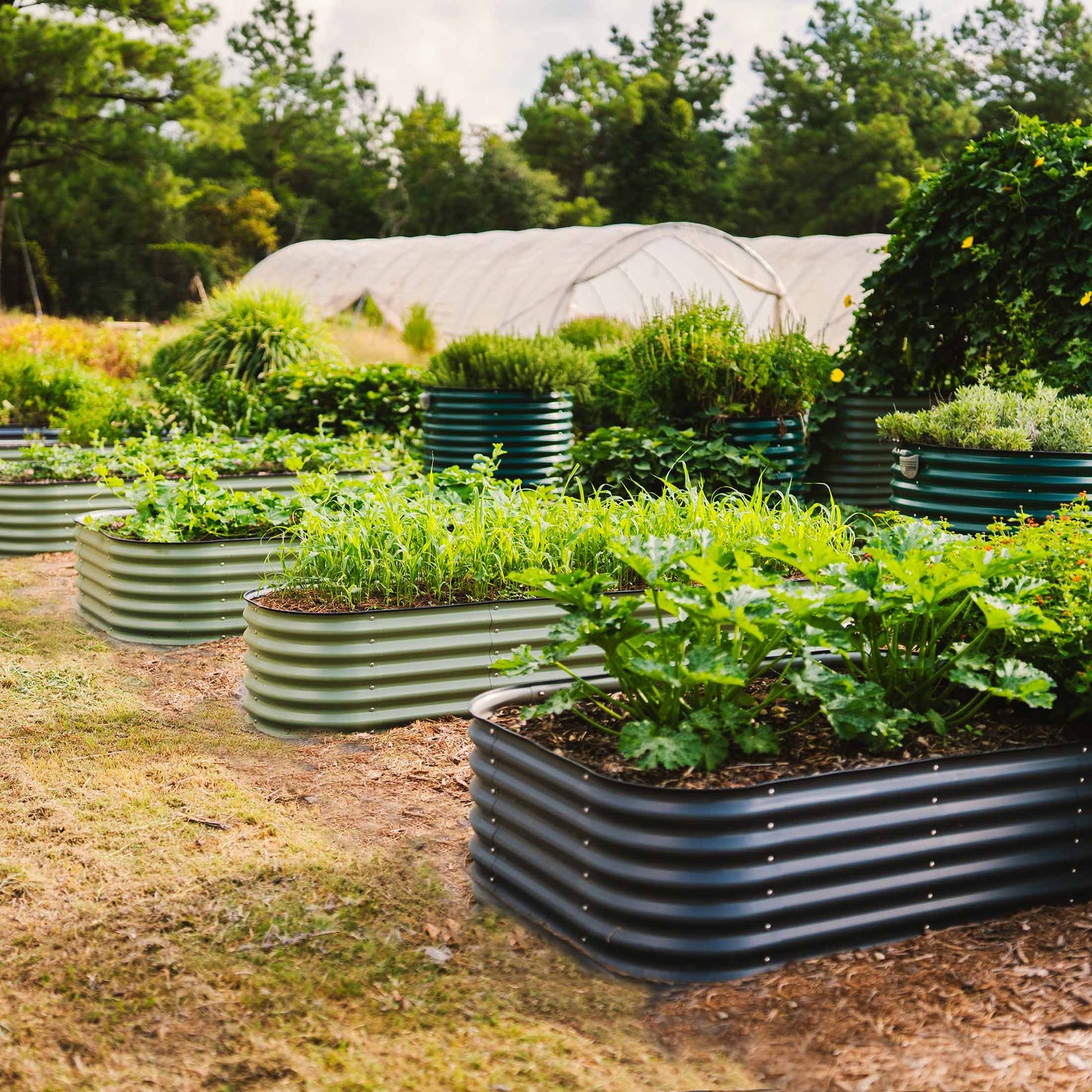 17" Tall Large Raised Garden Bed 9 in 1 Modular Metal