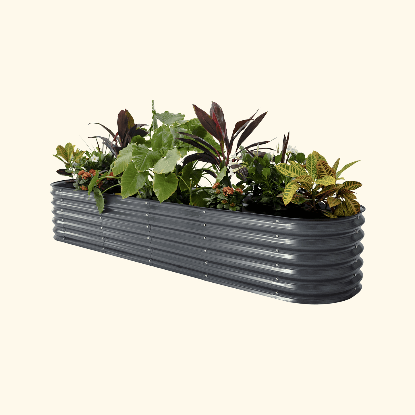 Vego Self Watering Raised Garden Bed 2ft wide x 4, 6, 8ft Long