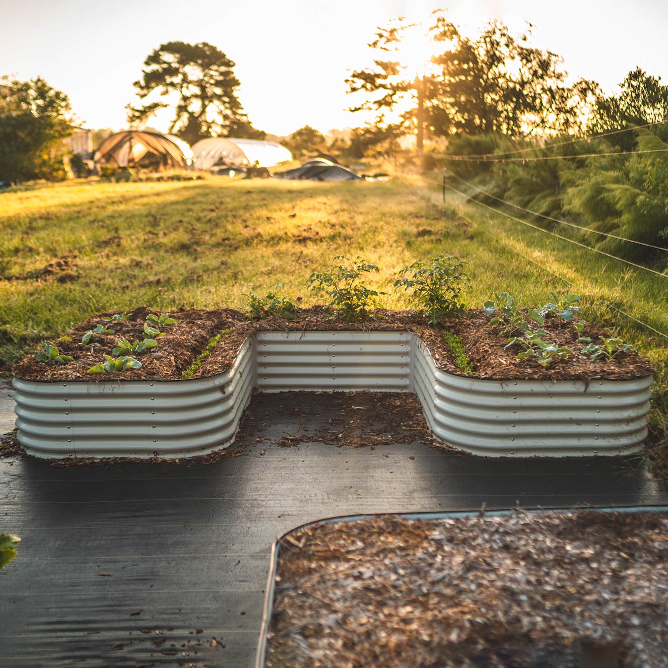 Cama elevada para jardín en forma de U de 17" de alto, tamaño gigante | Metal