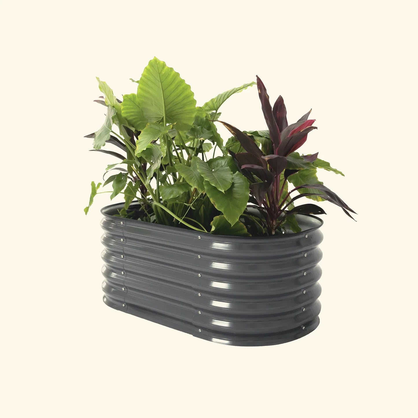 17" Tall Kids Raised Garden Bed 42" x 24" Metal