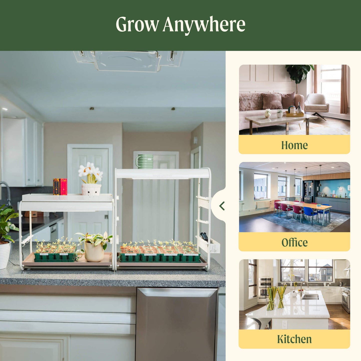 Jardin lumineux de culture de table à 1 niveau