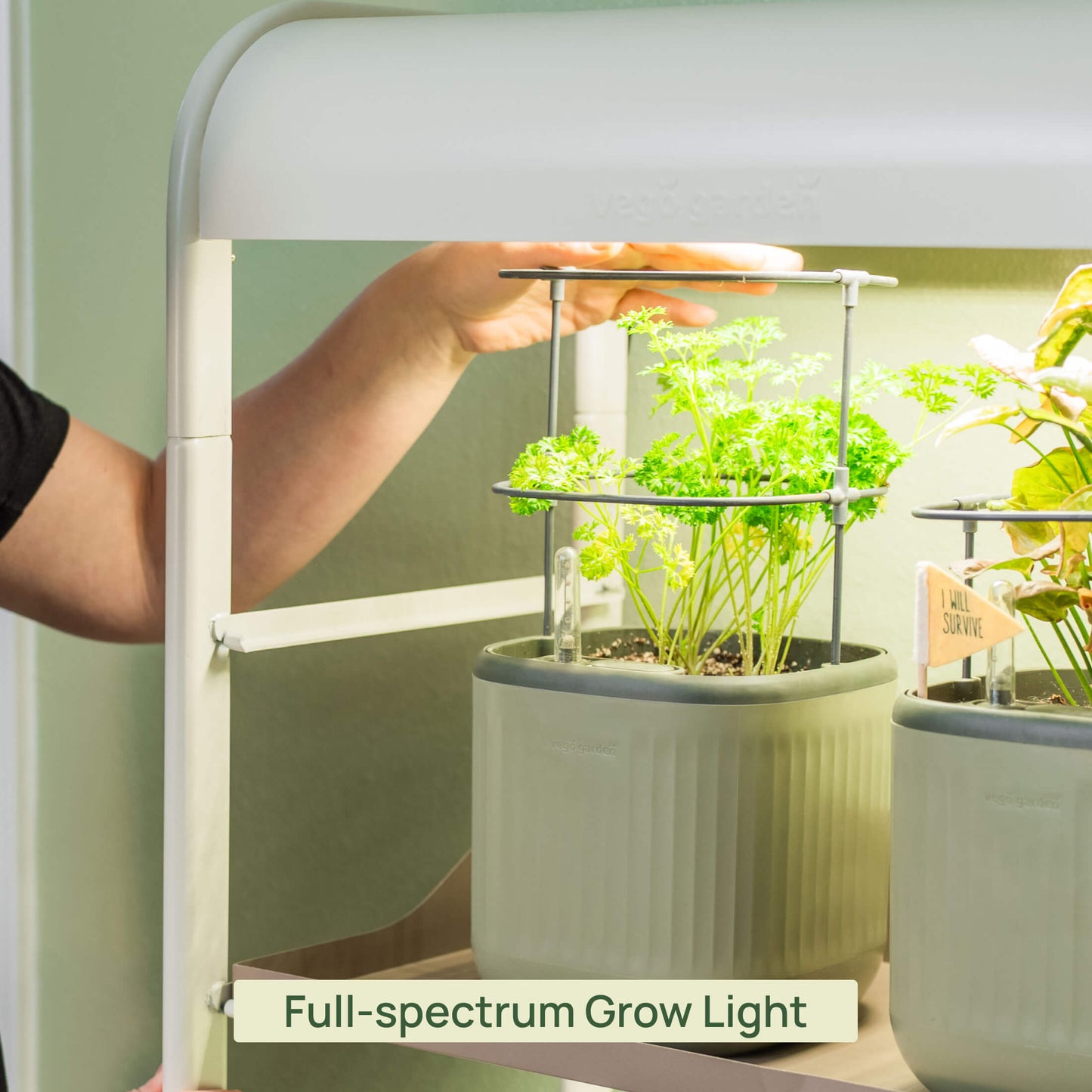 2 Tier Grow Light Garden