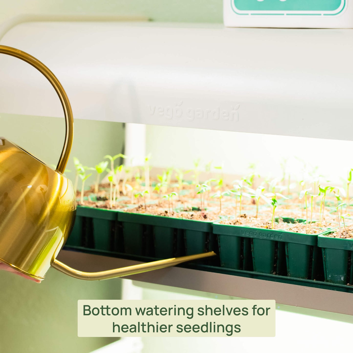 2 Tier Grow Light Garden
