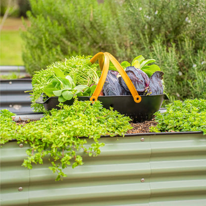 Ensemble de jardin surélevé modulaire géant en métal 10 en 1 de 26 po de hauteur