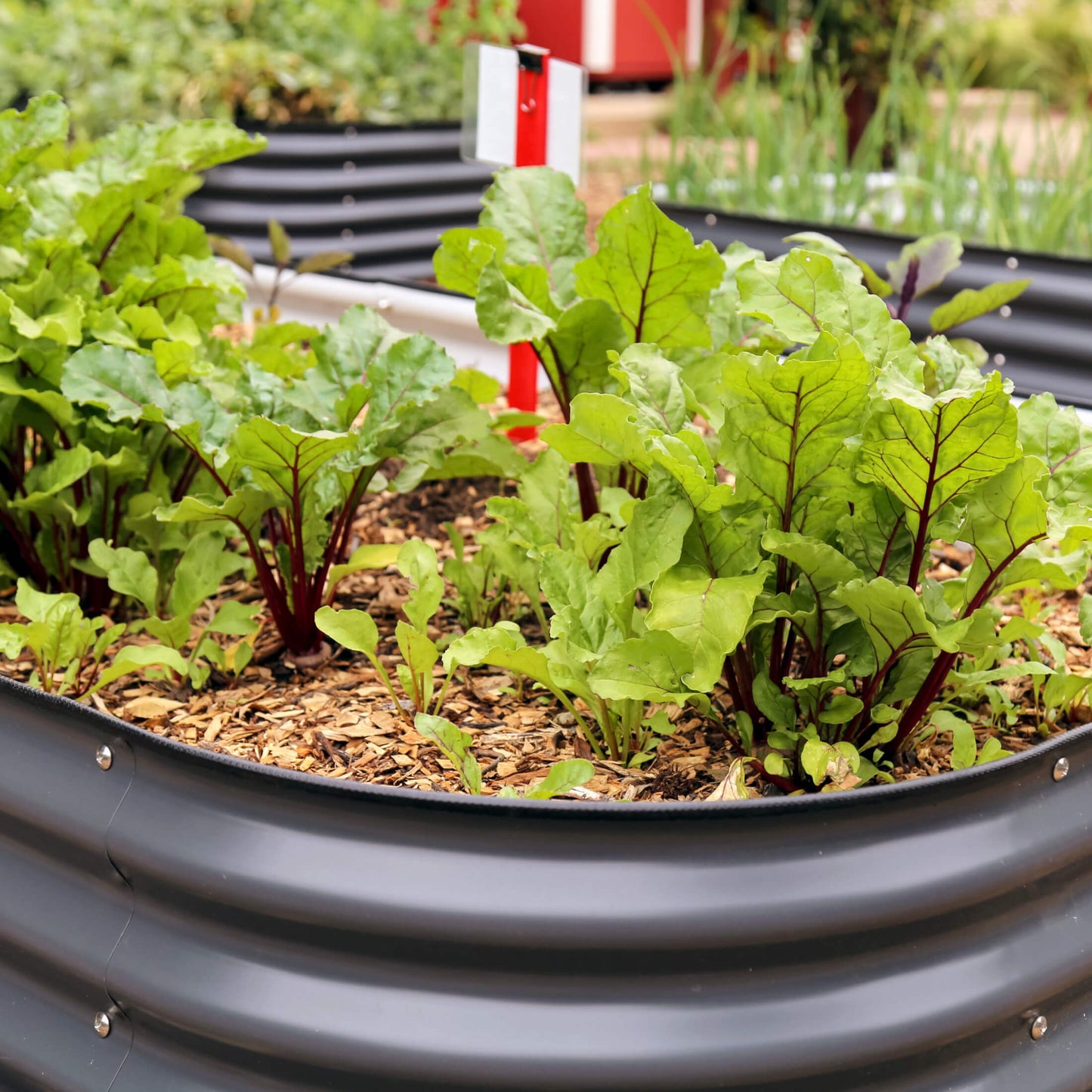 26" Tall 10 In 1 Jumbo Modular Metal Raised Garden Bed Kit