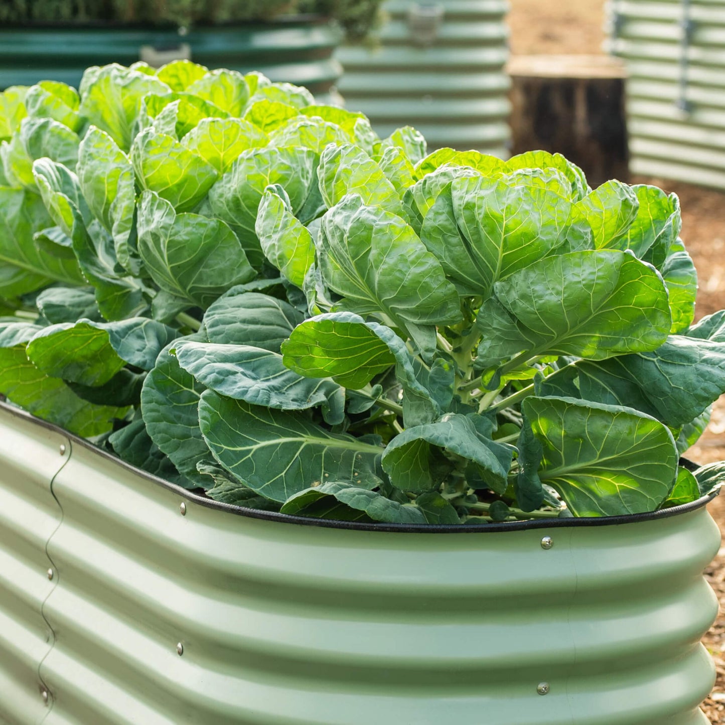 26" Tall 6 In 1 Medium Modular Metal Raised Garden Bed Kit