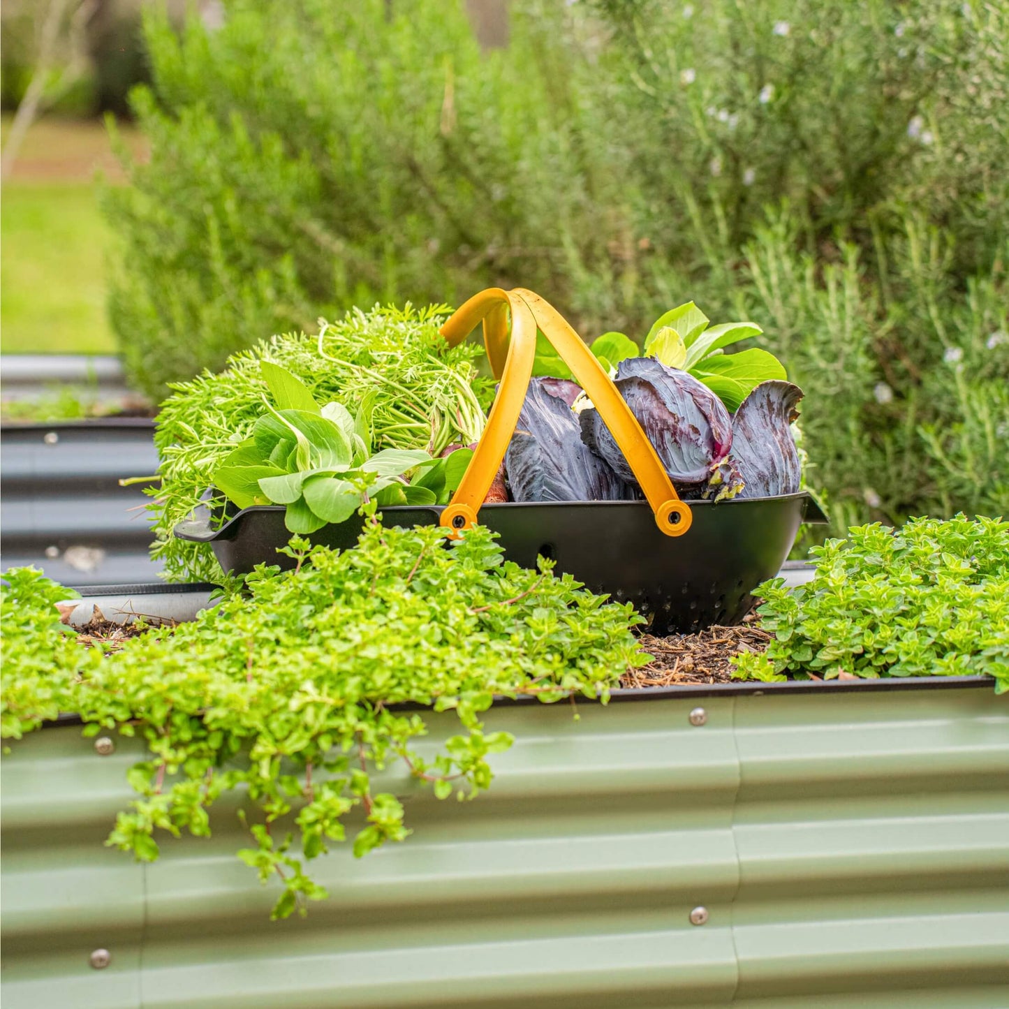 Kit de jardin surélevé modulaire en métal 9 en 1 de 26 po de hauteur