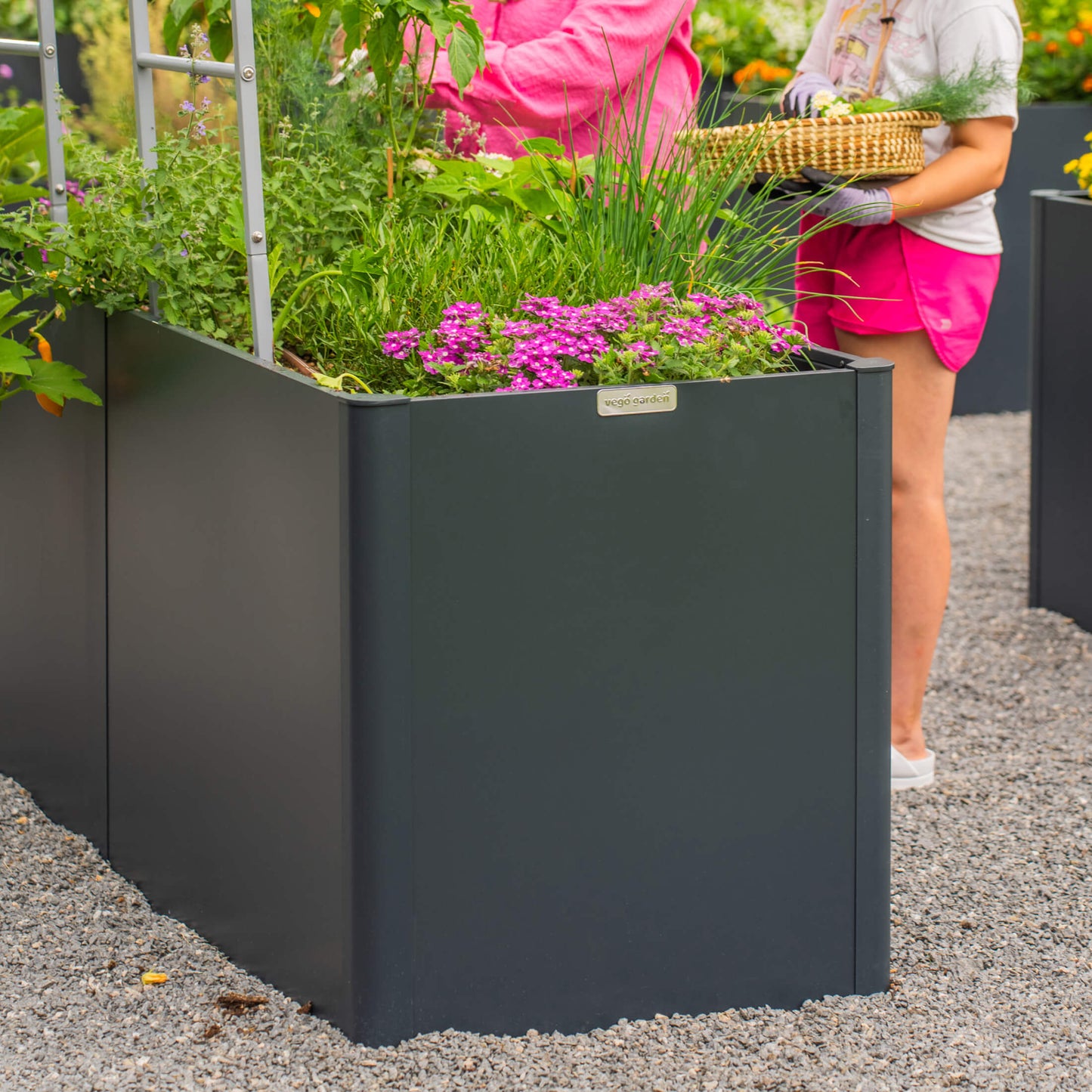 32" Tall Modern Raised Garden Bed 27" x 83" Long Metal