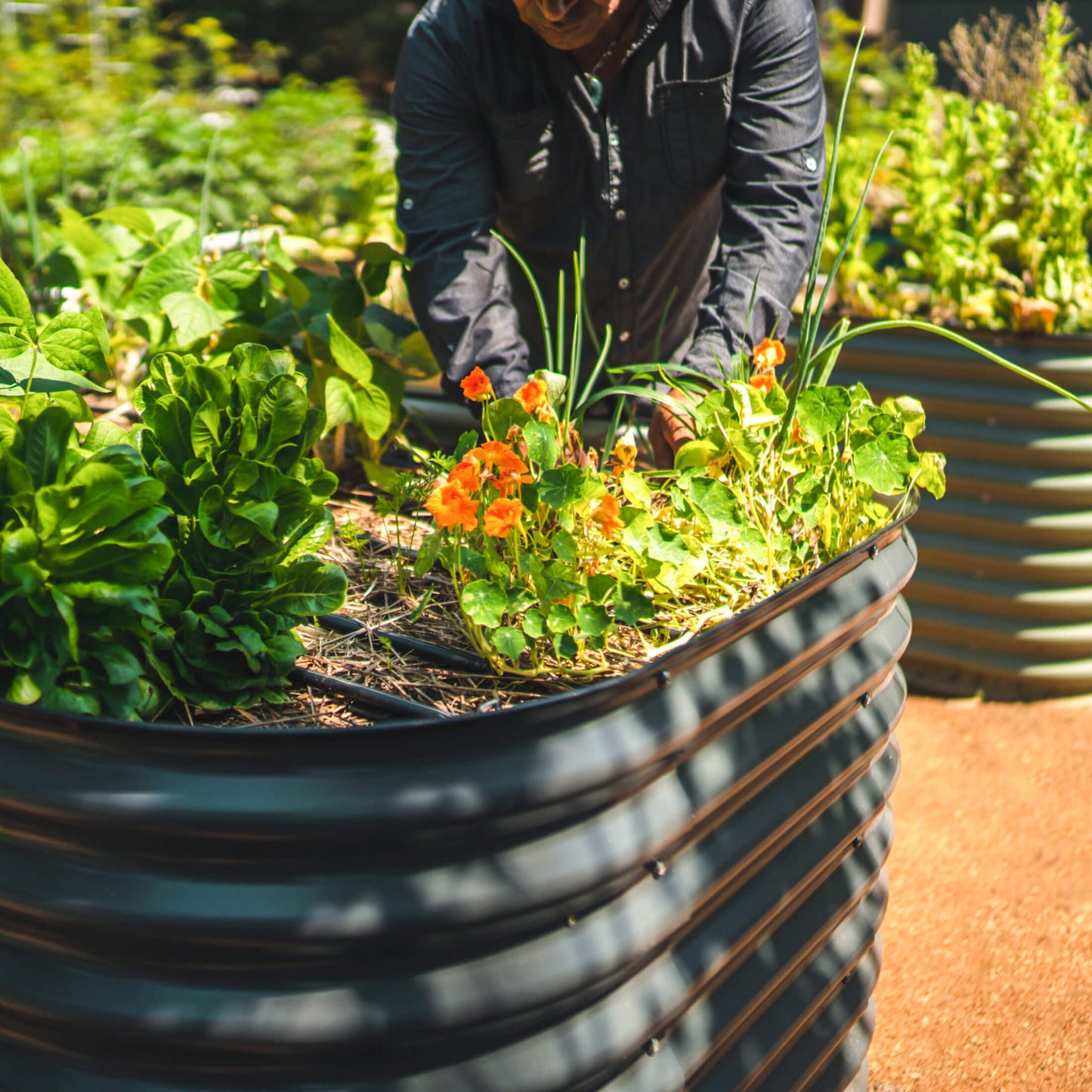 32" Tall Small Raised Garden Bed 4 in 1 Modular Metal