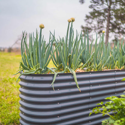 32" Tall Midsize Raised Garden Bed 6 in 1 Modular Metal