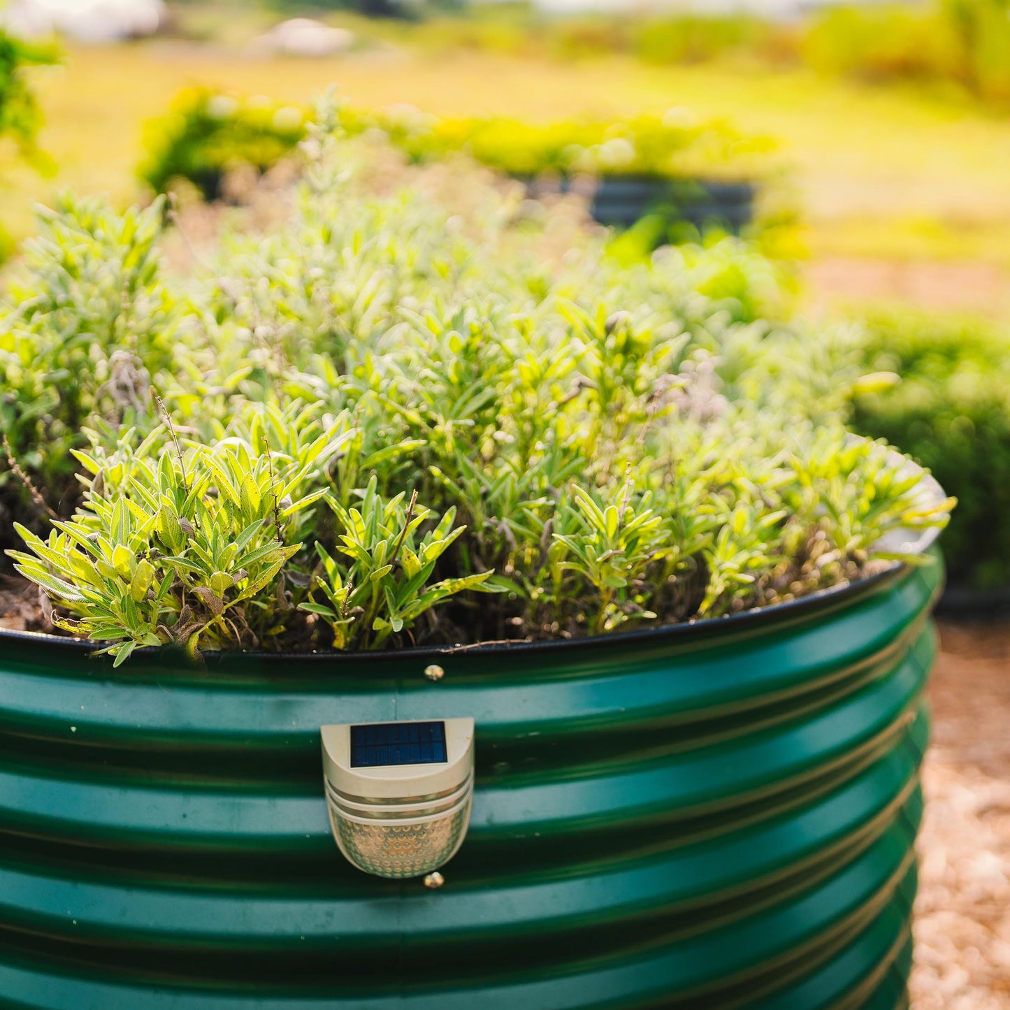 32" Tall 42" Round Raised Garden Bed Metal