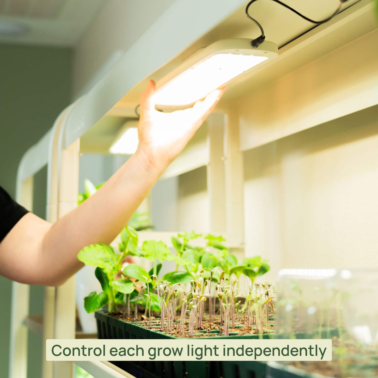 4 Tier Grow Light Garden with Storage