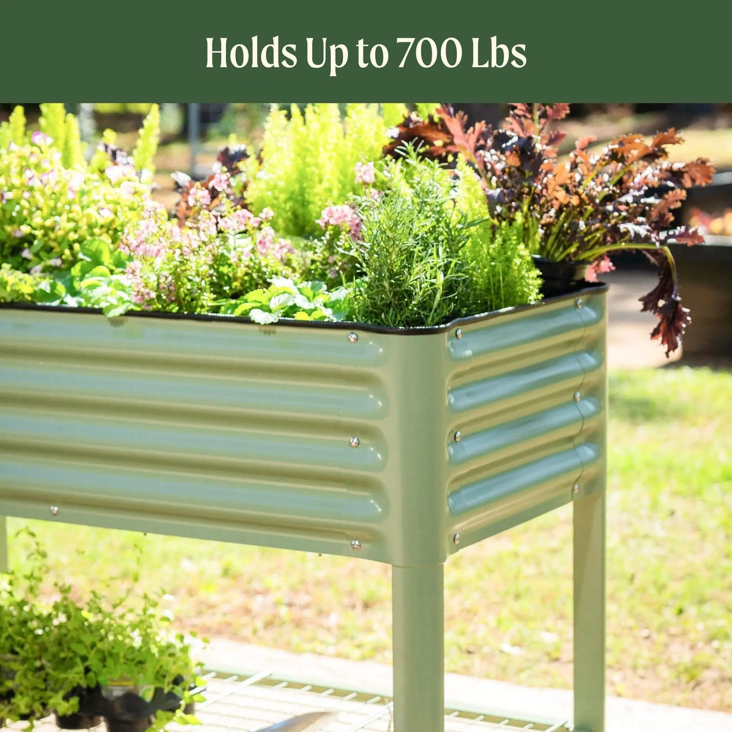 Elevated Garden Bed 2 by 4 Feet For Patio Use