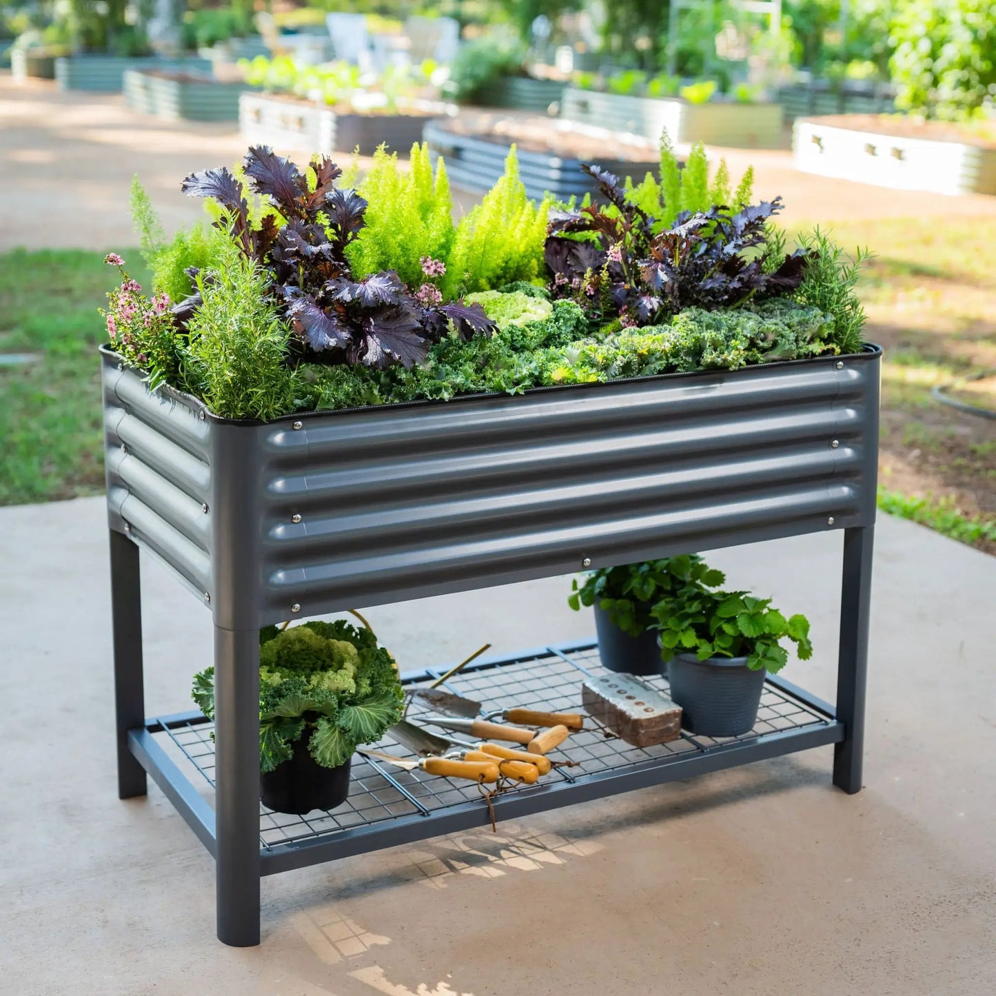 Elevated Garden Bed For Patios Decks 2ft By 8ft
