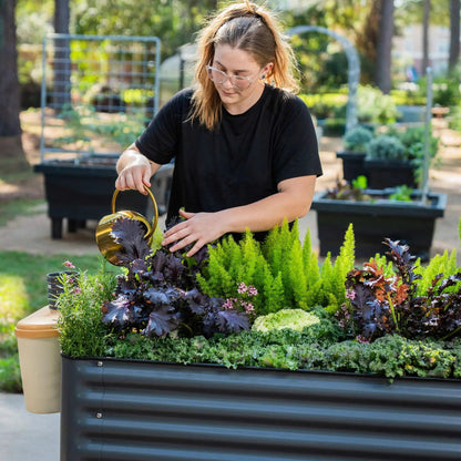 Elevated Garden Bed 2 by 6 ft Durable and Easy