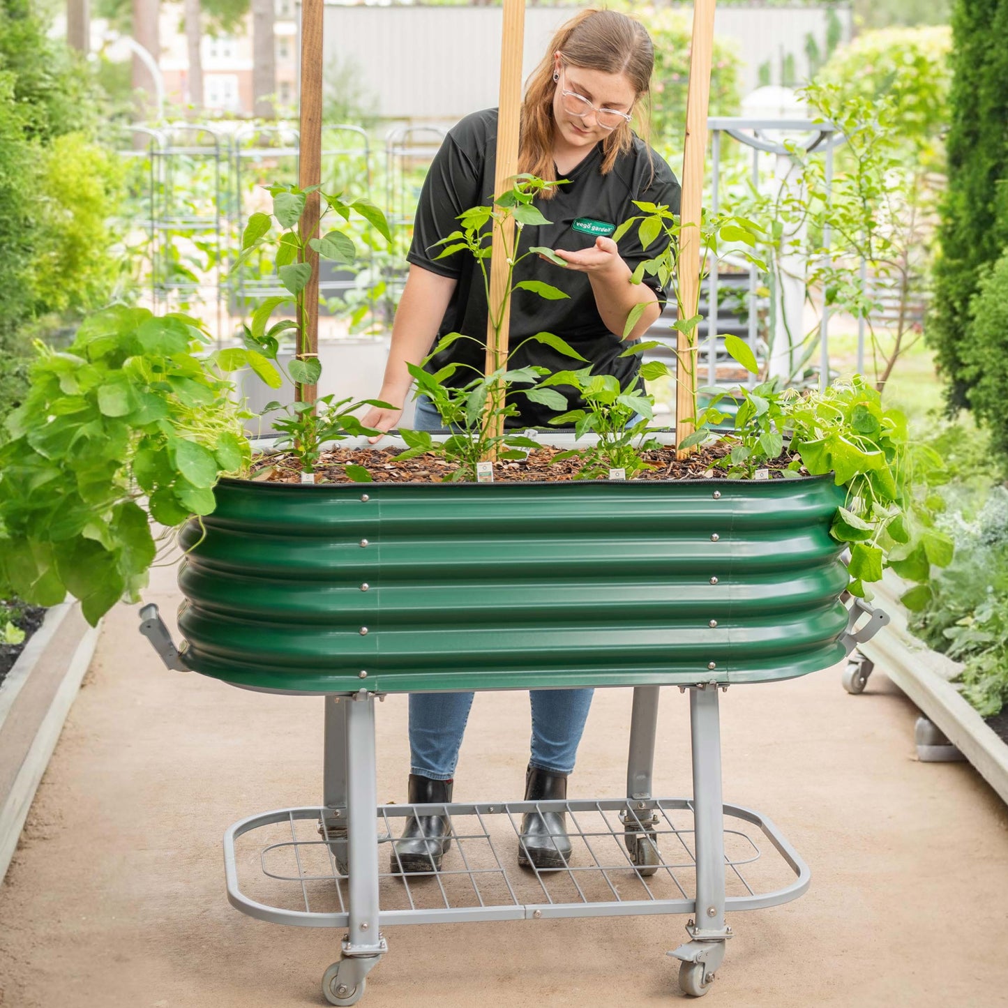 Jardinera elevada rodante Vego con riego automático | 2 tamaños