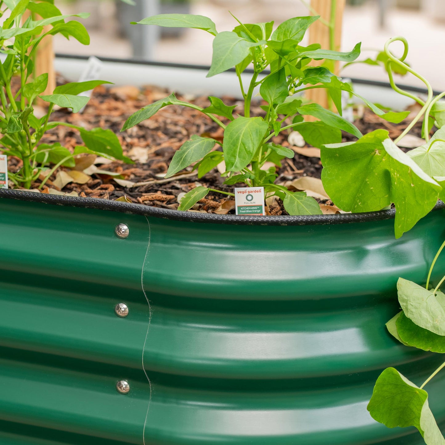 Jardinera elevada rodante Vego con riego automático | 2 tamaños