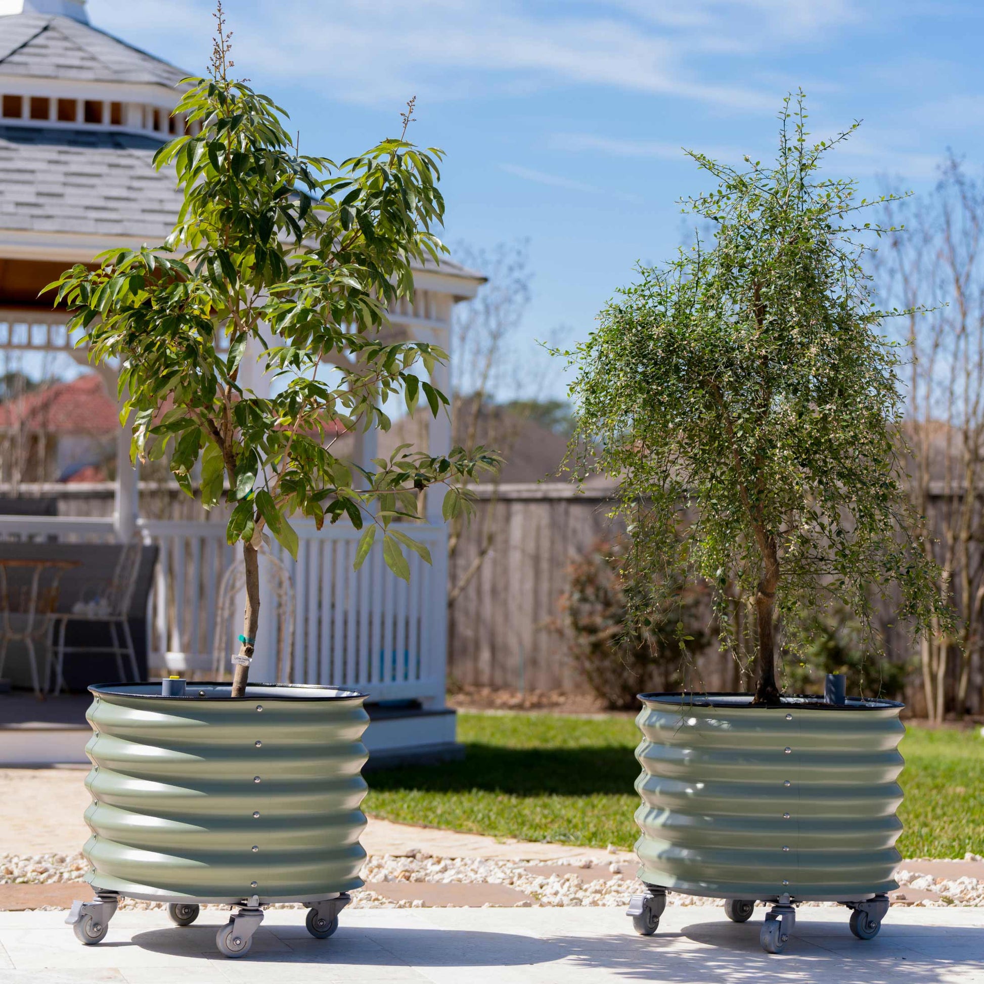 rolling self watering planter Self-Watering Rolling Citrus Tree Planter, Pearl White / Single Pack