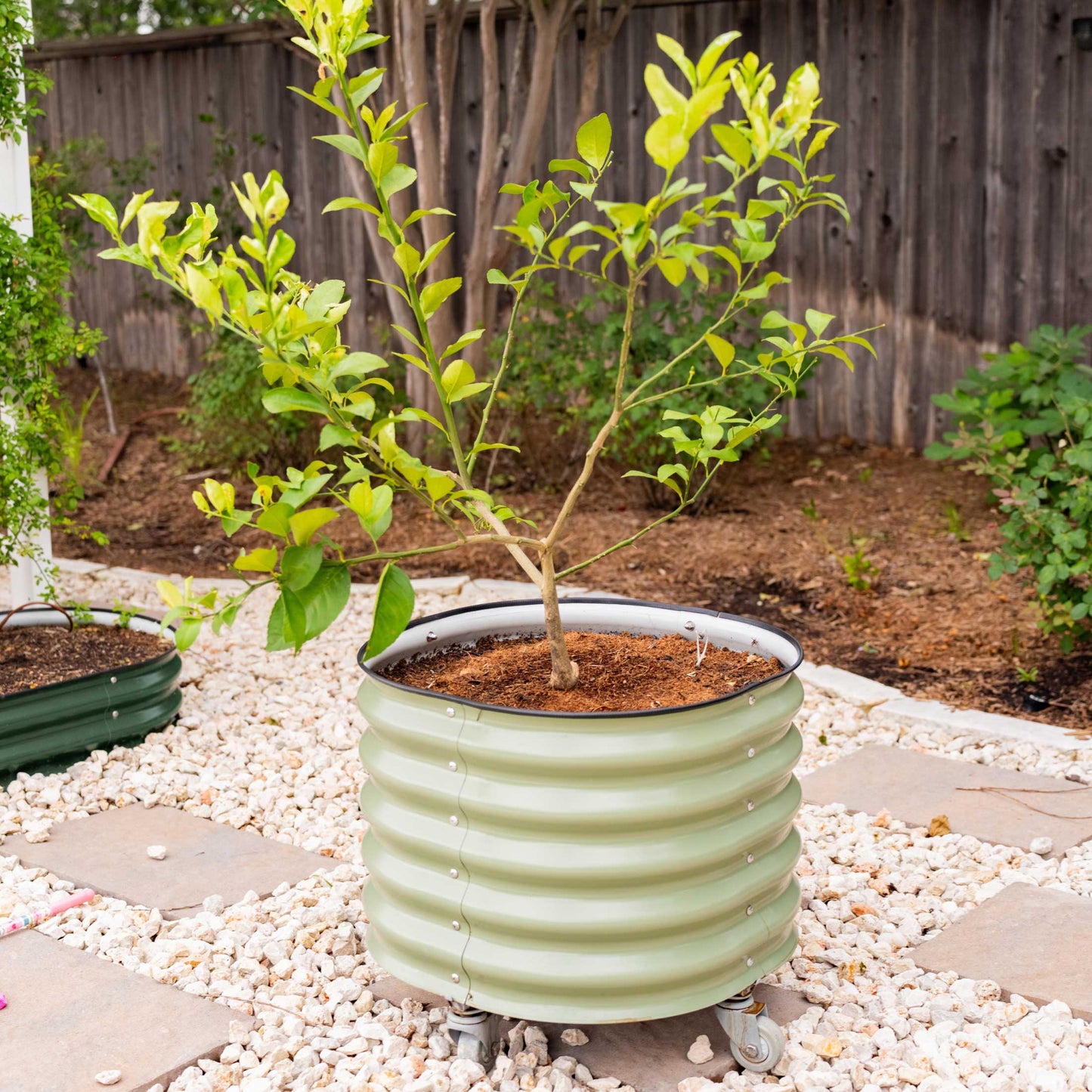 Rolling Planter Self-Watering | 2ft x 2ft