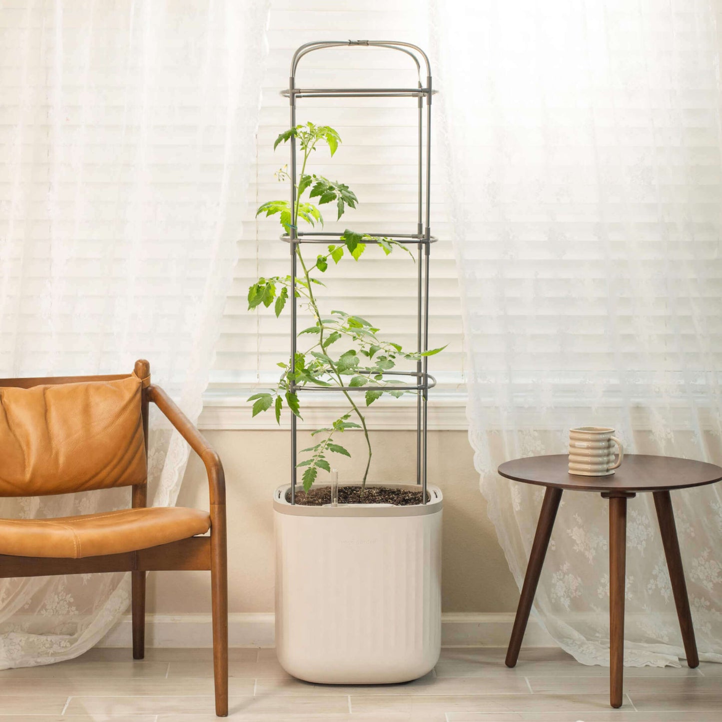 Maceta para tomates con riego automático EZ y enrejado