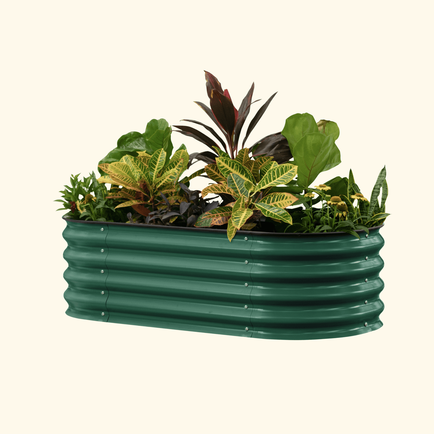 Vego Self Watering Raised Garden Bed 2ft wide x 4, 6, 8ft Long