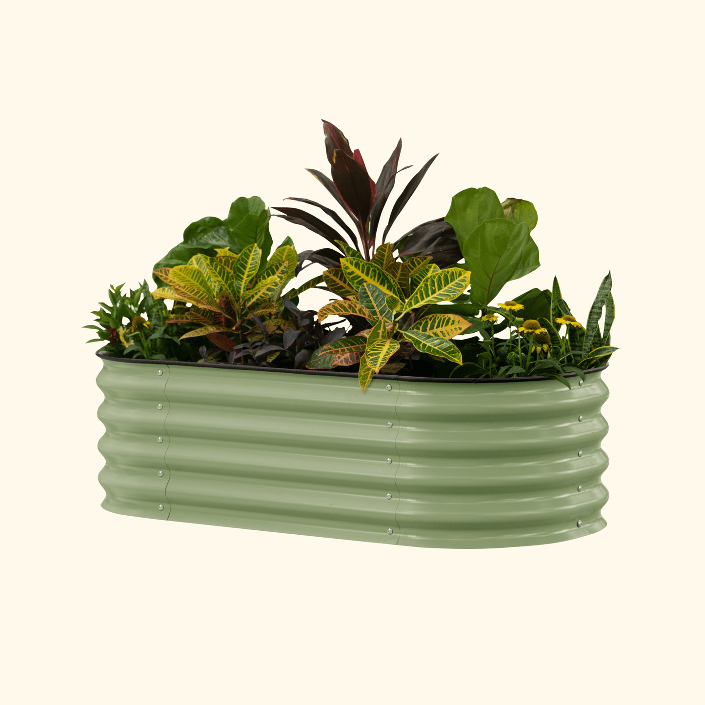 Vego Self Watering Raised Garden Bed 2ft wide x 4, 6, 8ft Long