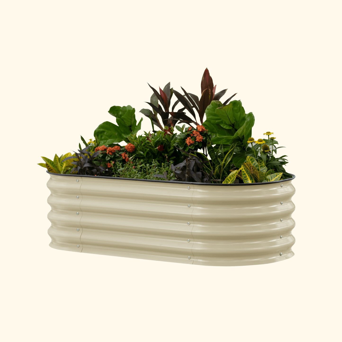 Vego Self Watering Raised Garden Bed 2ft wide x 4, 6, 8ft Long