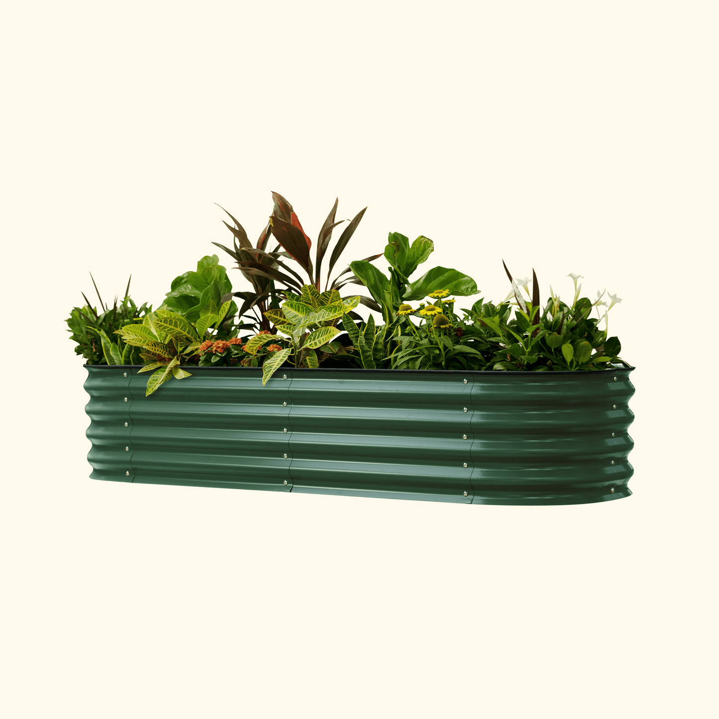 Vego Self Watering Raised Garden Bed 2ft wide x 4, 6, 8ft Long