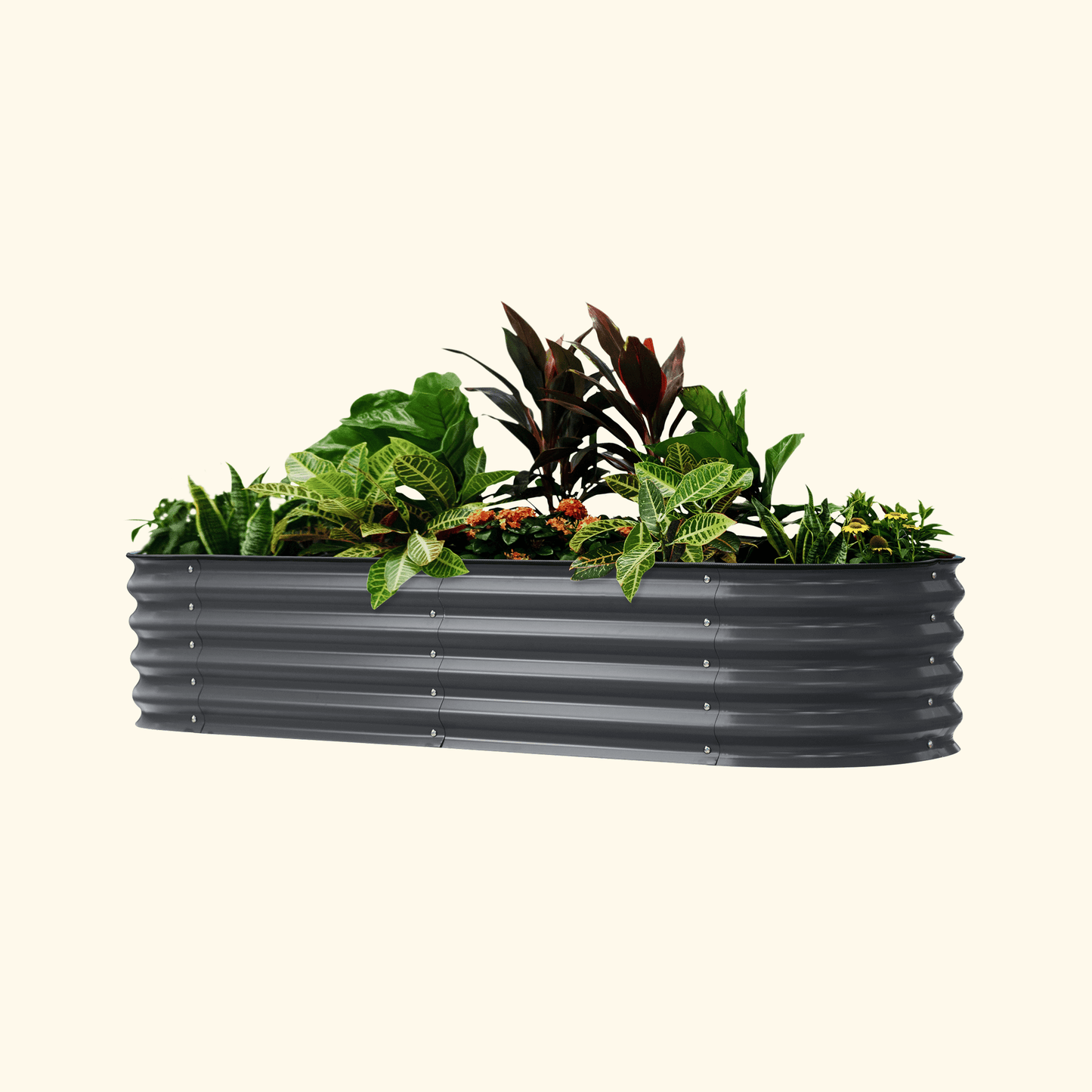 Vego Self Watering Raised Garden Bed 2ft wide x 4, 6, 8ft Long