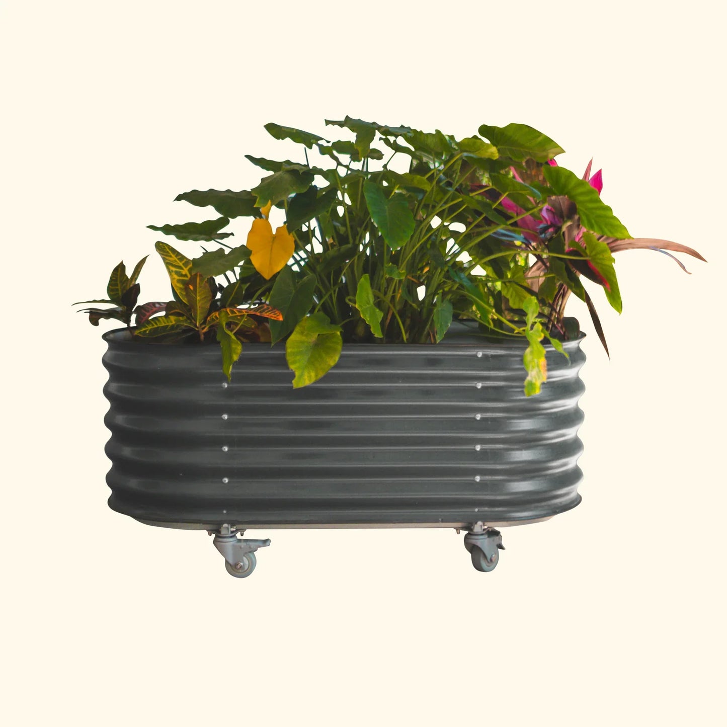 Vego Rolling Garden Bed Self Watering Large Rolling Planters