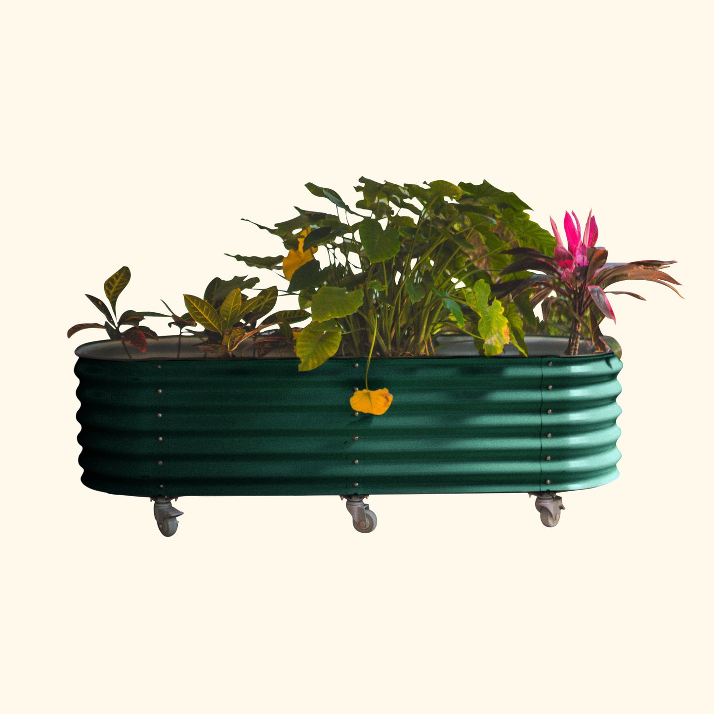 Vego Rolling Garden Bed Self Watering Large Rolling Planters