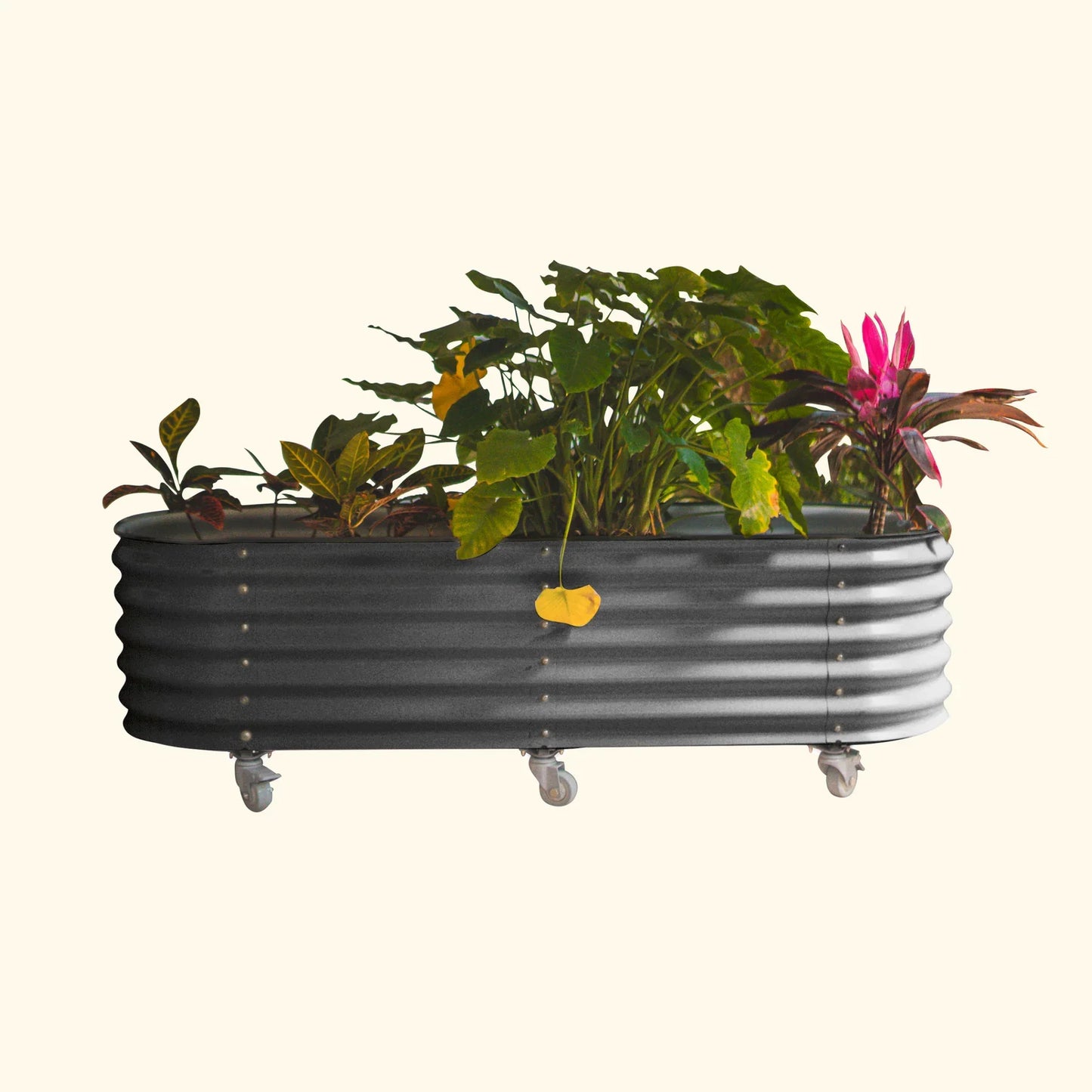 Vego Rolling Garden Bed Self Watering Large Rolling Planters