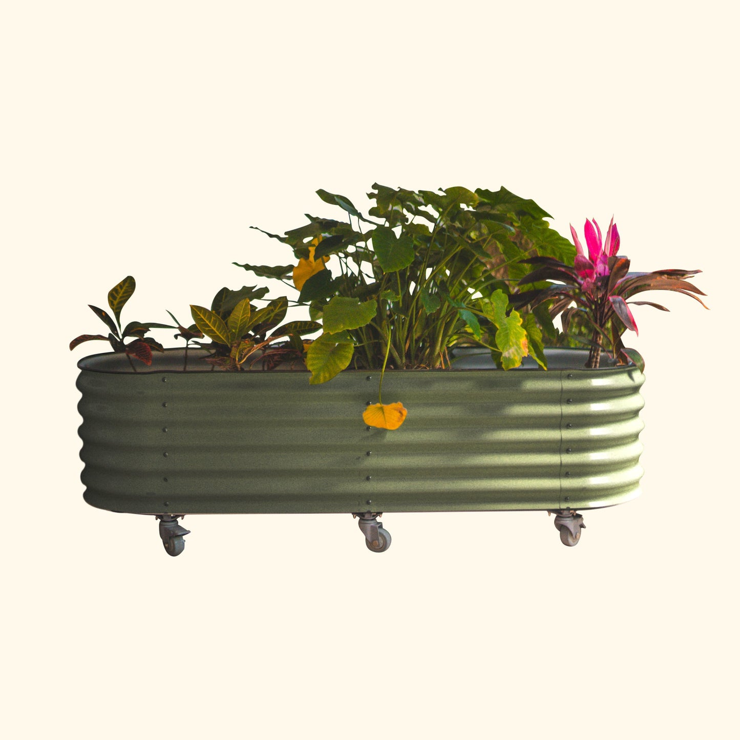 Vego Rolling Garden Bed Self Watering Large Rolling Planters