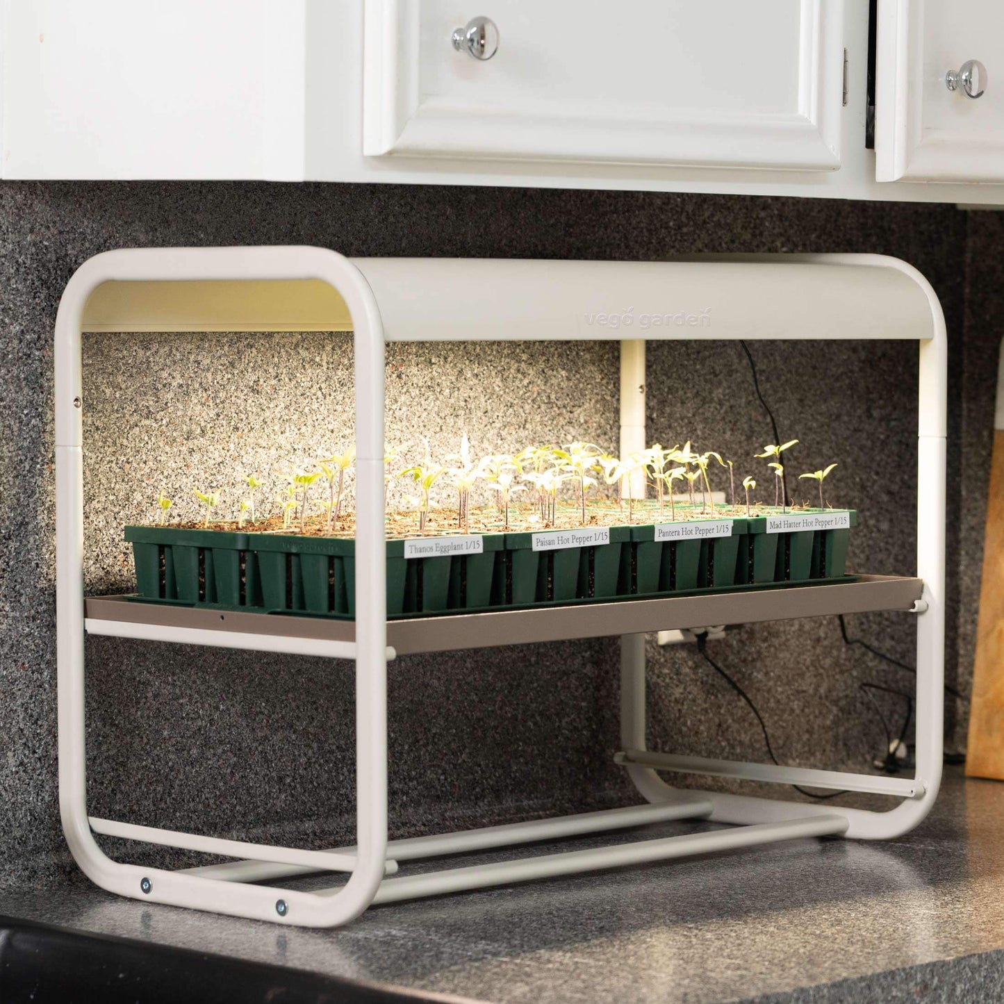 1 Tier Tabletop Grow Light Garden