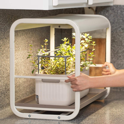 Jardin lumineux de culture de table à 1 niveau