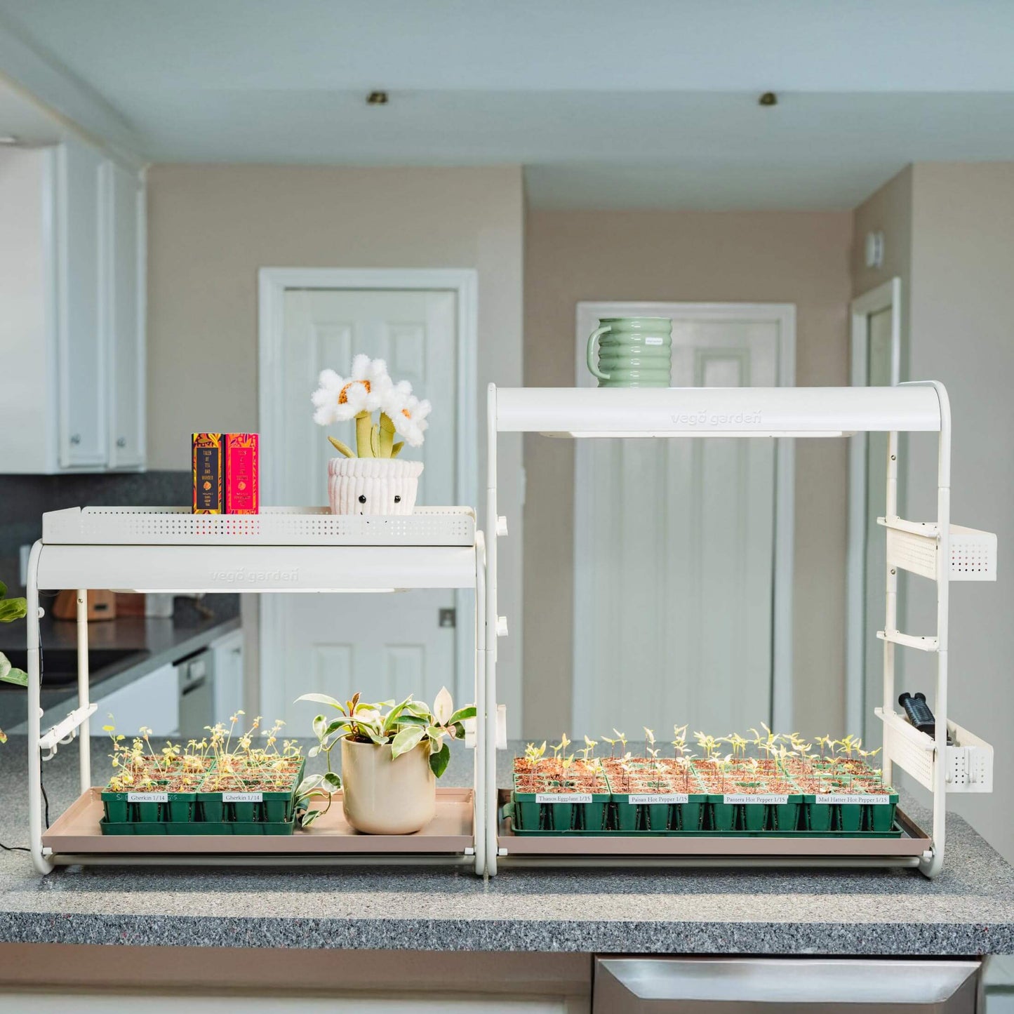 1 Tier Tabletop Grow Light Garden