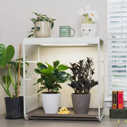 Lámpara de cultivo de mesa de 1 nivel para jardín