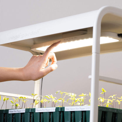 Lámpara de cultivo de mesa de 2 niveles para jardín