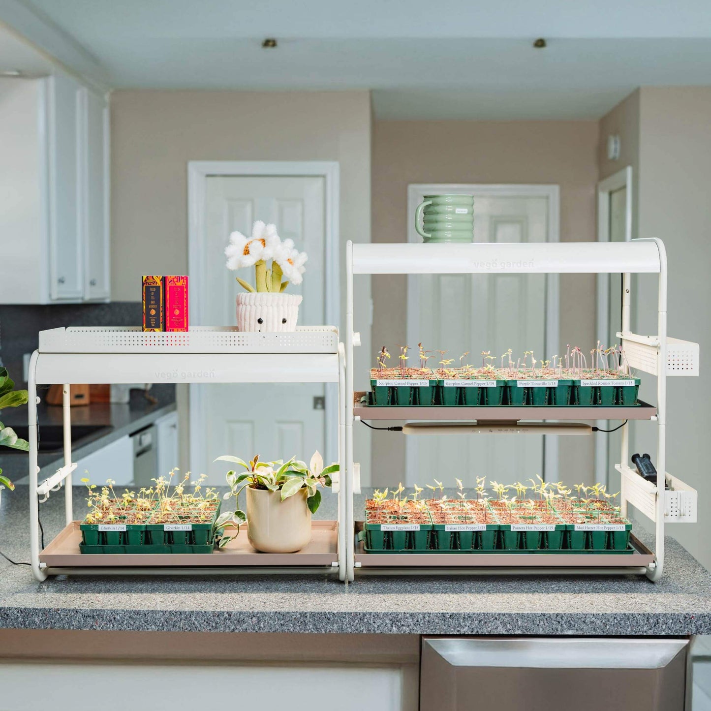 Lámpara de cultivo de mesa de 2 niveles para jardín